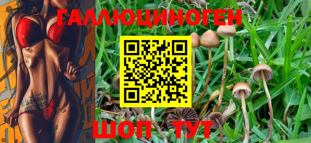 Галлюциногенные грибы Psilocybine cubensis  Вход с VPN  купить  цена  Павлово 