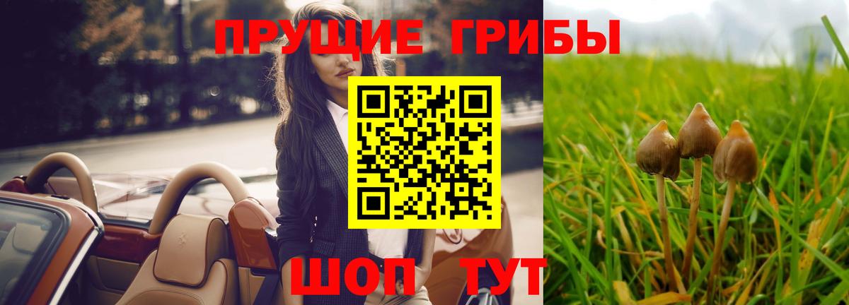 Псилоцибиновые грибы GOLDEN TEACHER Павлово
